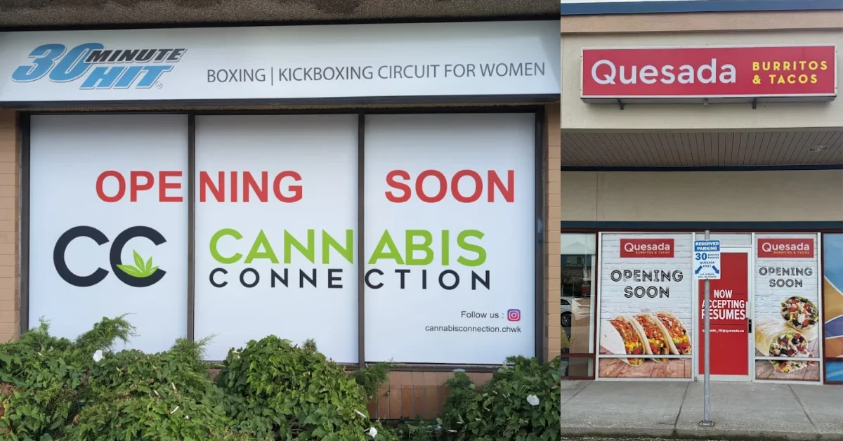 Window Graphics for Storefronts in Surrey — Ideas, Costs, and What to Expect